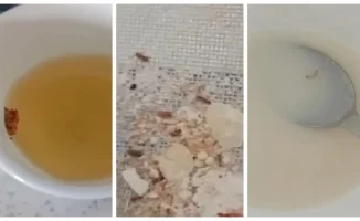 В Талдыкоргане родители шокированы едой с насекомыми в детском саду