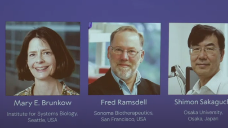 Нобелевская премия по медицине 2025 года остается без лауреата: Фред Рамсделл в Айдахо не знает о своей победе