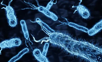 Кишечник расскажет: возраст и стиль жизни на блюде