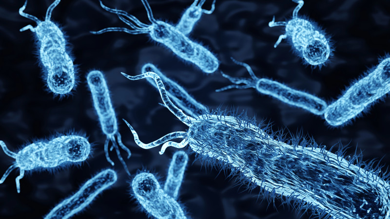 Кишечник расскажет: возраст и стиль жизни на блюде