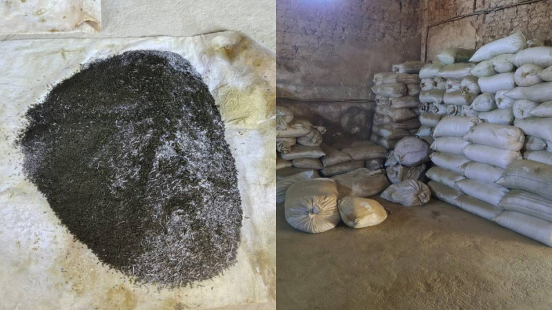 В Туркестанской области полиция изъяла две тонны насвая