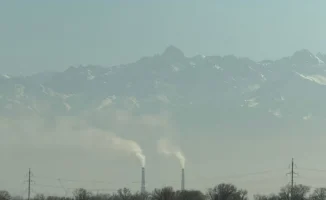 Загрязнение воздуха и микропластик: угроза здоровья казахстанцев в условиях урбанизации