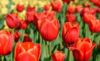 Мартовские каникулы: Казахстанцы ловят весенние лучи отдыха в 2026 году