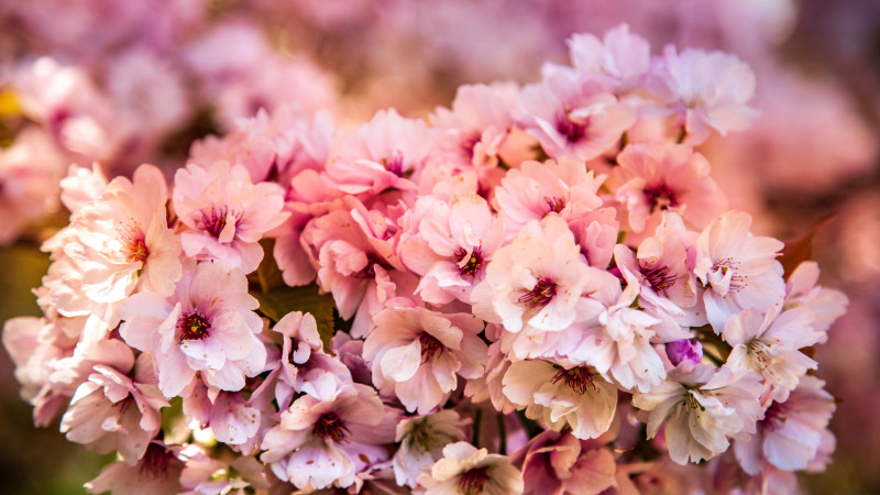 Казахстанцы получат длинные выходные: почти половина марта — праздники!