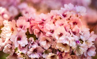 Казахстанцы получат длинные выходные: почти половина марта — праздники!