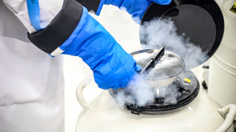 Невостребованные эмбрионы: Казахстан и Европа сталкиваются с вызовами хранения и утилизации в эпоху позднего родительства