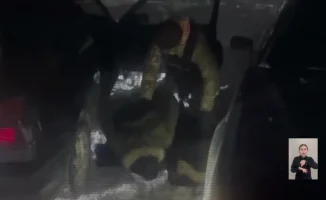 Списание штрафов и новая выплата: главные события 18 марта от МВД