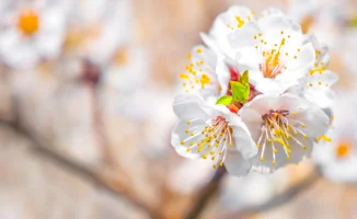 Казахстанцы отправятся в майский отпуск: половина месяца под солнцем счастья